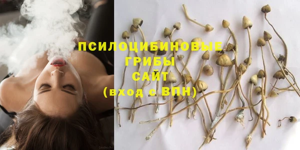 гашиш Дмитров