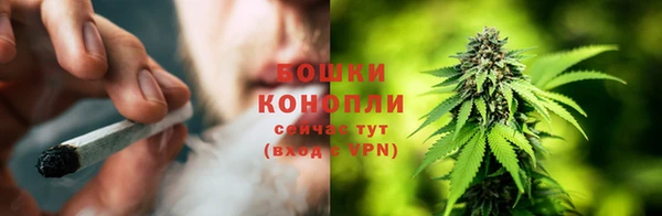 ПСИЛОЦИБИНОВЫЕ ГРИБЫ Гусь-Хрустальный