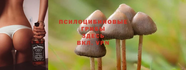 меф Гусев