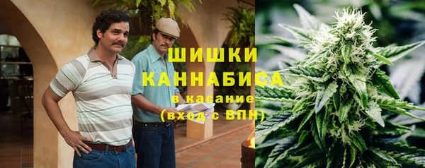 ПСИЛОЦИБИНОВЫЕ ГРИБЫ Гусь-Хрустальный