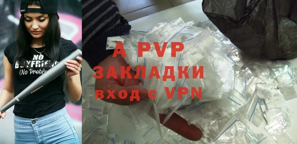 ПСИЛОЦИБИНОВЫЕ ГРИБЫ Гусь-Хрустальный