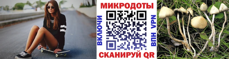 hydra ССЫЛКА  Пионерский  Галлюциногенные грибы Psilocybe  купить наркоту 
